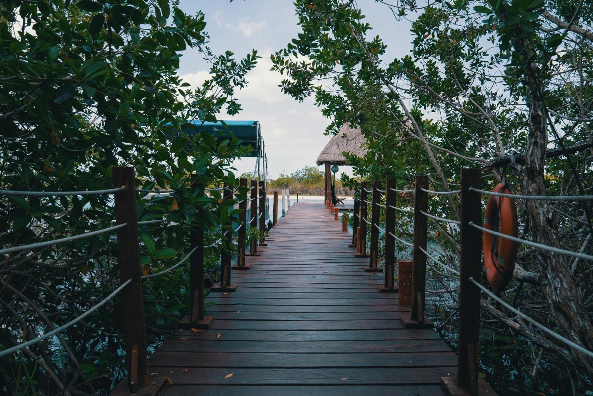Bluebayou バカラル エクステリア 写真